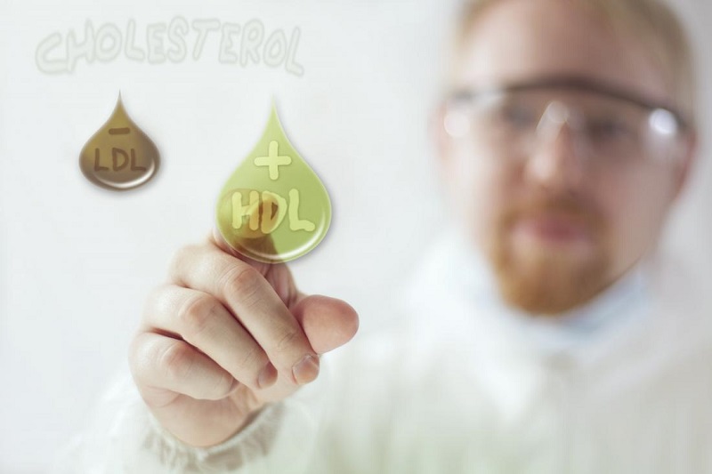 Chỉ số HDL – Cholesterol là gì? Cách cải thiện HDL – Cholesterol trong máu mà bạn nên biết