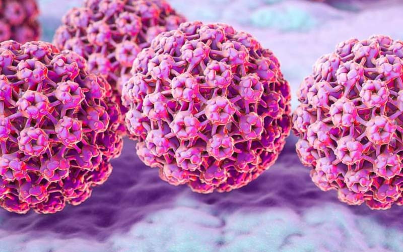 Virus HPV là gì? Cách nhận biết và phòng tránh HPV chi tiết nhất không nên bỏ lỡ