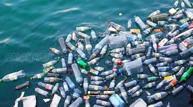 Rác thải nhựa là gì? Thực trạng, tác hại, biện pháp phòng ngừa